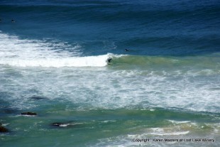 Surfing at Yeagerup Beach
