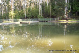 Town Swimming Pool at Pemberton